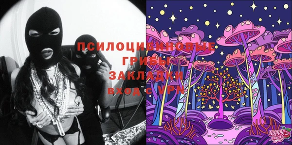 прущие крисы Богородицк