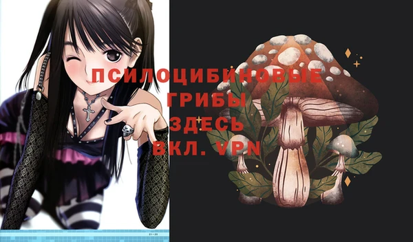 mdma Богданович