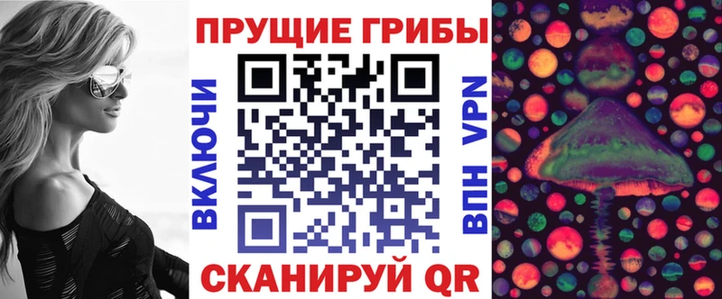 как найти закладки  Санкт-Петербург  Галлюциногенные грибы Magic Shrooms 